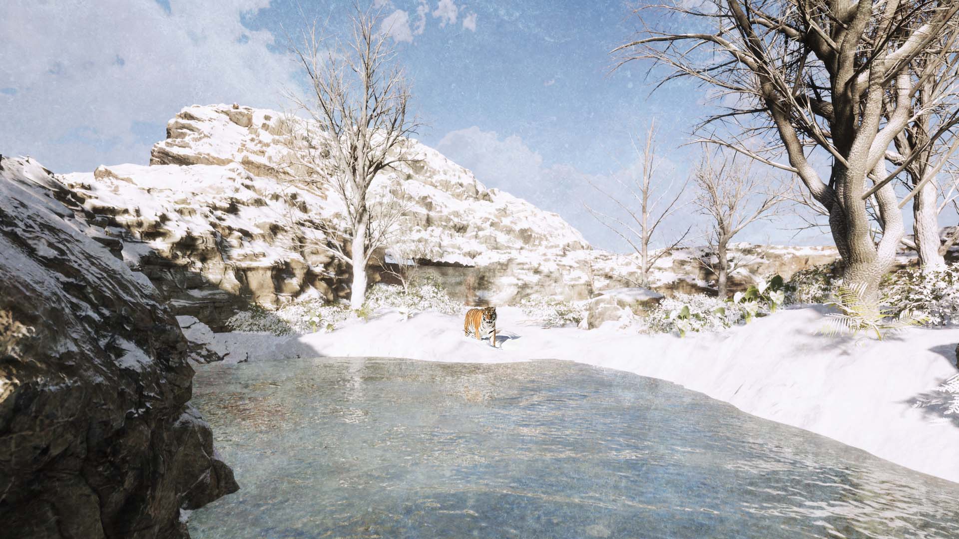 Ausstellung Schnee Tigergehege